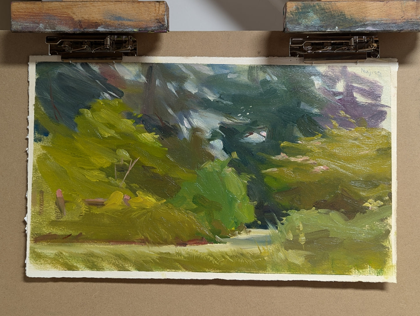 Quick Landscape Study